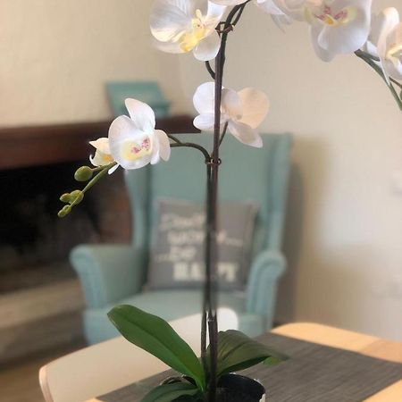 Il Capriccio Di Silvia Villa ซีร์มิโอเน ภายนอก รูปภาพ